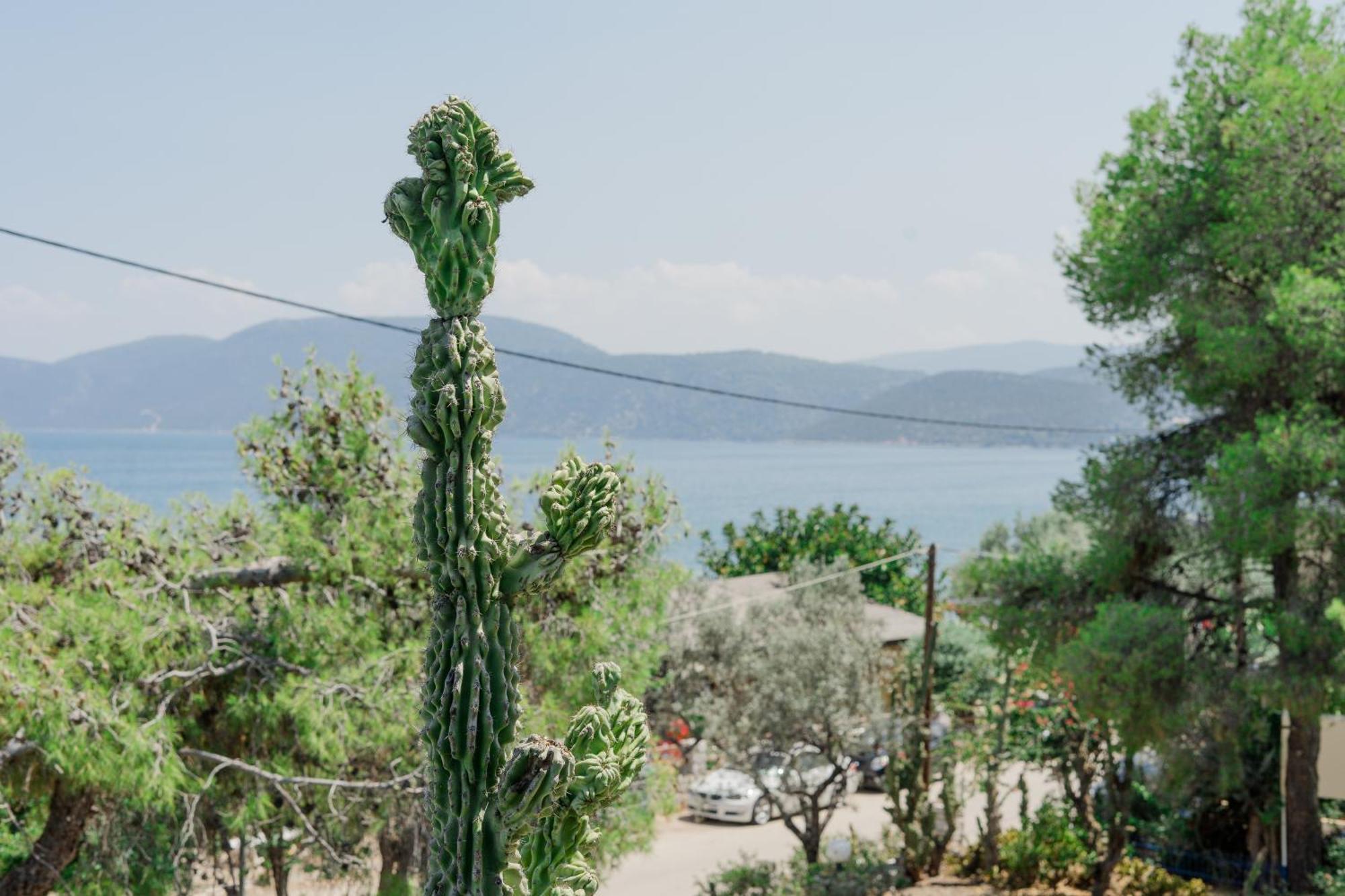 Hotel Korfos - Ξενοδοχείο Κόρφος Renovated ภายนอก รูปภาพ